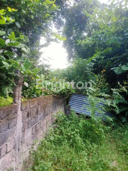 image TANAH LANGKA BY PASS NGURAH RAI (1)