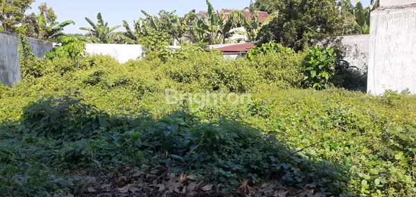 image BANGUNAN HITUNG TANAH DI JEMBER (8)