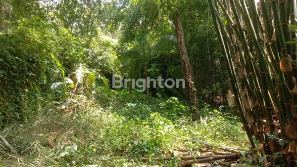 Gambar Property LAHAN SANGAT COCOK UNTUK VILLA