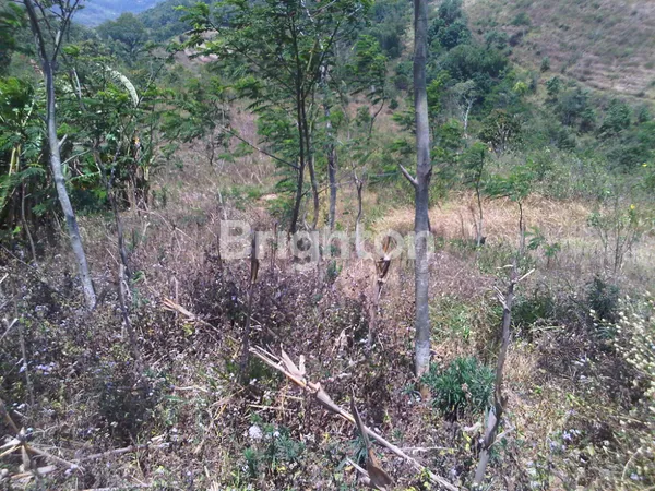 DIJUAL TANAH 3300 M3 DI LEMAHSUGIH, MAJALENGKA, JAWA BARAT