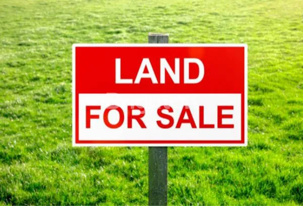 image TANAH 1HA DI SAMBI SARI (1)