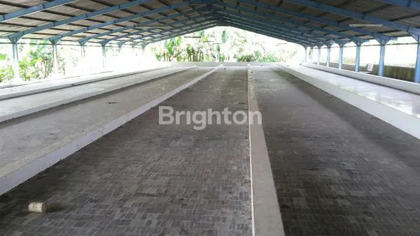 image EX PABRIK TAPIOKA LOKASI BANJARNEGARA (2)