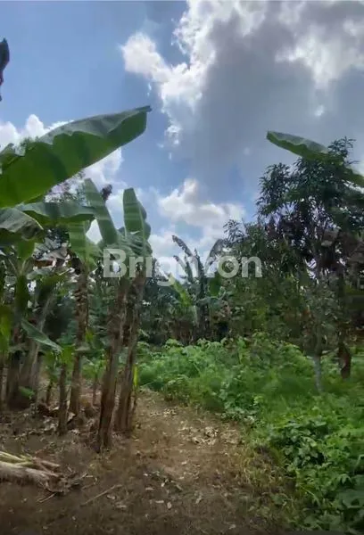 TANAH DI BAYUR SAMARINDA