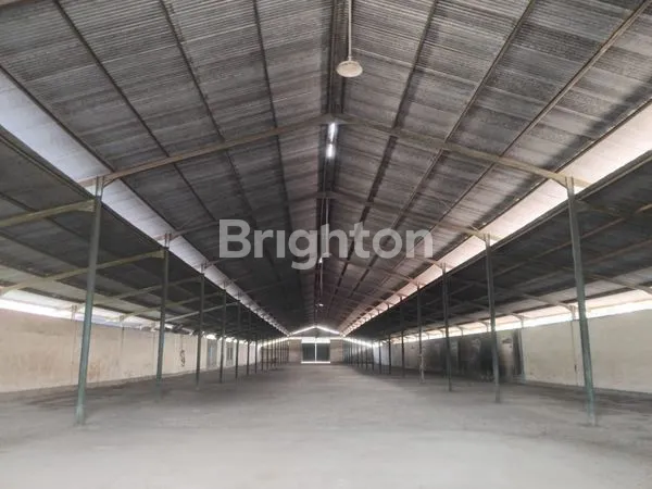 image EX PABRIK OBAT NYAMUK PURBALINGGA (4)