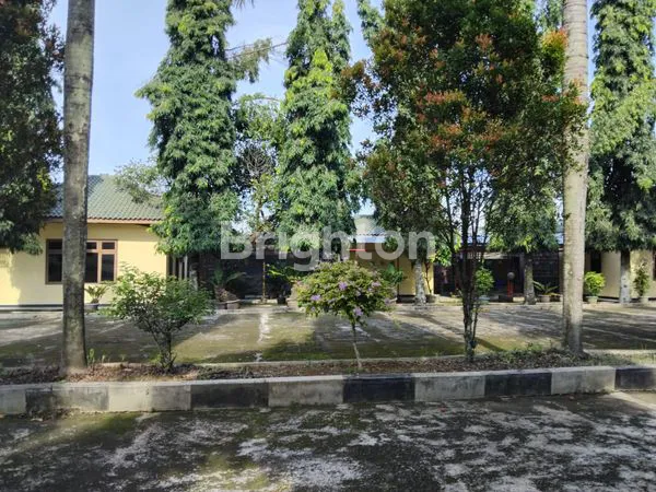 image EX PABRIK OBAT NYAMUK PURBALINGGA (8)