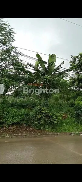 image LAHAN KOSONG DI CILEUNGSI NAROGONG (2)