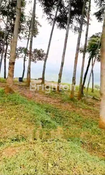 image LAHAN DAERAH WISATA GN BUNDER (2)