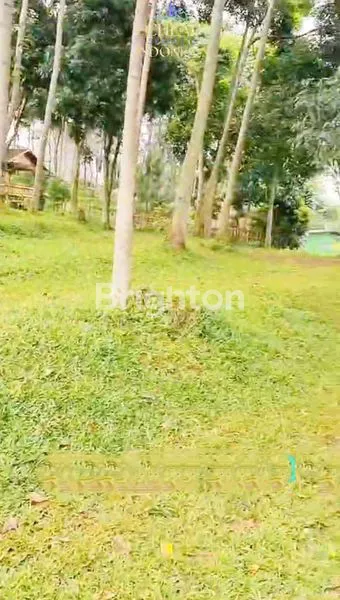 image LAHAN DAERAH WISATA GN BUNDER (4)