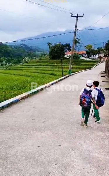 image LAHAN DAERAH WISATA GN BUNDER (5)