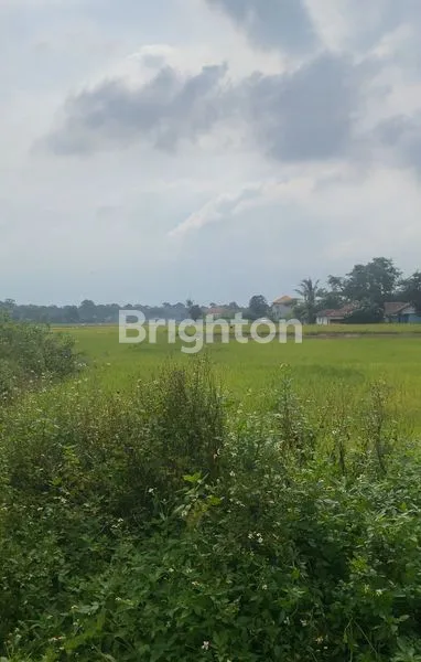 image TANAH DI LEGOK DEKAT KANA PARK DAN PARAMOUNT PETALS (1)