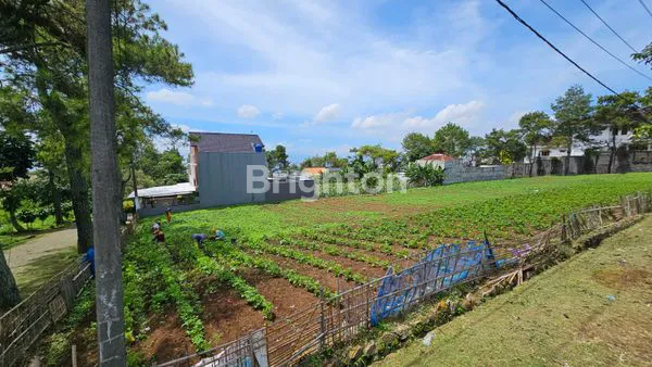 image TANAH KAVLING ASRI SIAP BANGUN VIEW BAGUS KATUMIRI CIHANJUANG (2)