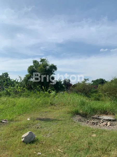 image TANAH LUAS 1400M² DI BARON, NGANJUK (1)