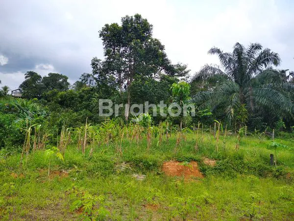 image BALIKPAPAN - DIJUAL TANAH DI DEKAT PANTAI WISATA AMBALAT (G008) (1)