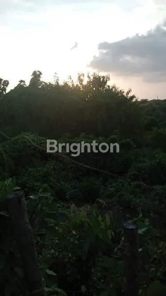 image TANAH DISEWAKAN JANGKA PANJANG ITR KUNING GOA GONG JIMBARAN  (2)