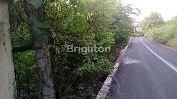 image TANAH DISEWAKAN JANGKA PANJANG ITR KUNING GOA GONG JIMBARAN  (6)