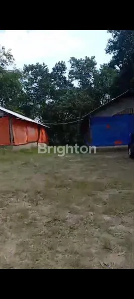 image DIJUAL CEPAT RUMAH DAN KANDANG AYAM (5)