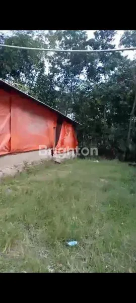 image DIJUAL CEPAT RUMAH DAN KANDANG AYAM (4)