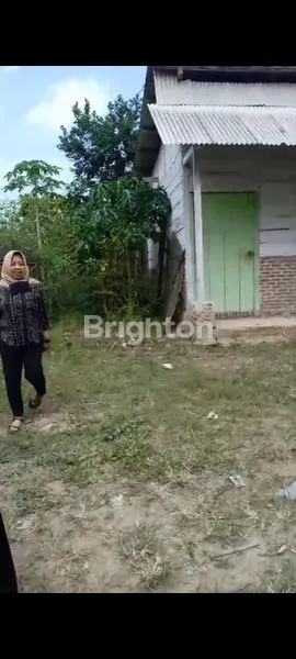 image DIJUAL CEPAT RUMAH DAN KANDANG AYAM (7)