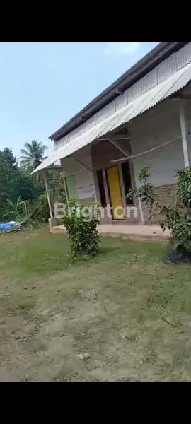 image DIJUAL CEPAT RUMAH DAN KANDANG AYAM (3)