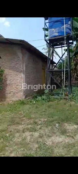 image DIJUAL CEPAT RUMAH DAN KANDANG AYAM (8)