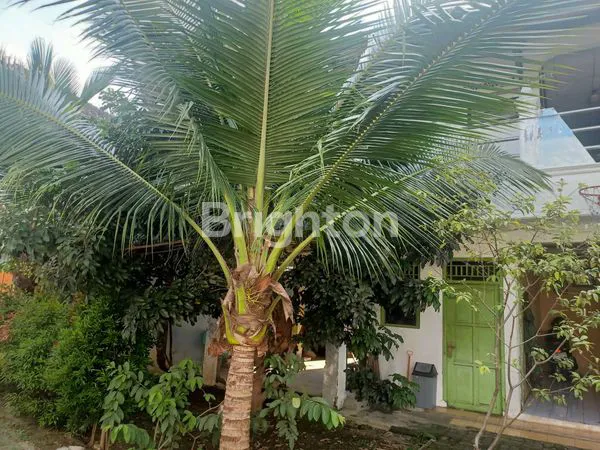 image TANAH KAVLING PREMIUM 171M2 + BONUS BANGUNAN DI KALISARI JAKARTA (1)