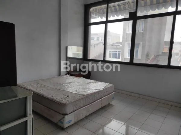 image RUKO SINGA (6)