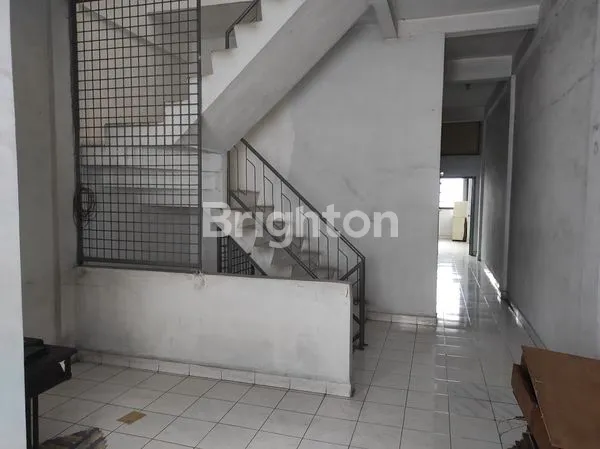 image RUKO SINGA (8)