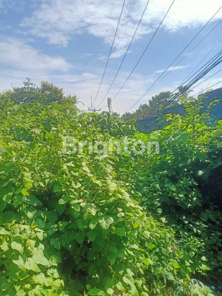 image TANAH STRATEGIS DI UNGASAN (3)