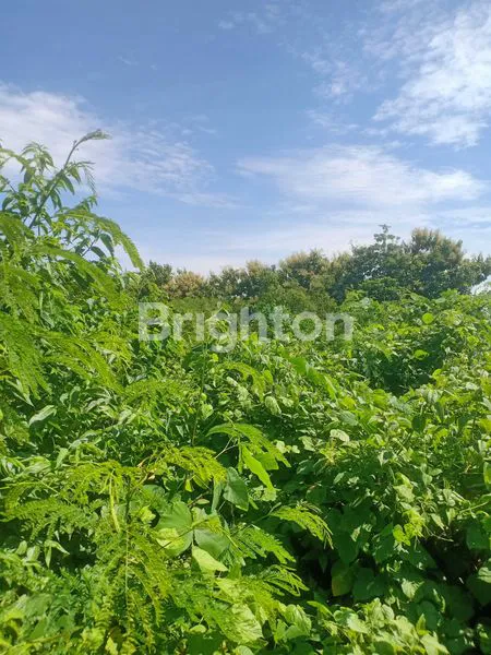 image TANAH STRATEGIS DI UNGASAN (4)