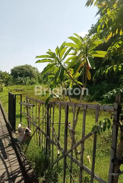 image TANAH JUAL ITR PINK LINGKUNGAN VILLA JIMBARAN (1)