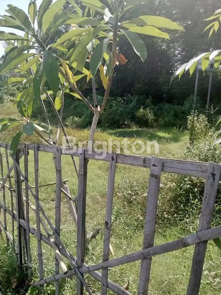 image TANAH JUAL ITR PINK LINGKUNGAN VILLA JIMBARAN (6)