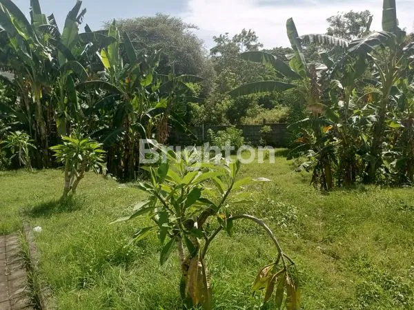 image TANAH JUAL ITR PINK LINGKUNGAN VILLA JIMBARAN (4)