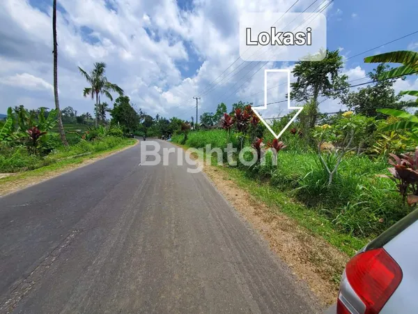 image TANAH DI PLAGA PETANG, DEKAT JEMBATAN BANGKUNG – LOKASI STRATEGIS & POTENSI INVESTASI MENJANJIKAN! (2)