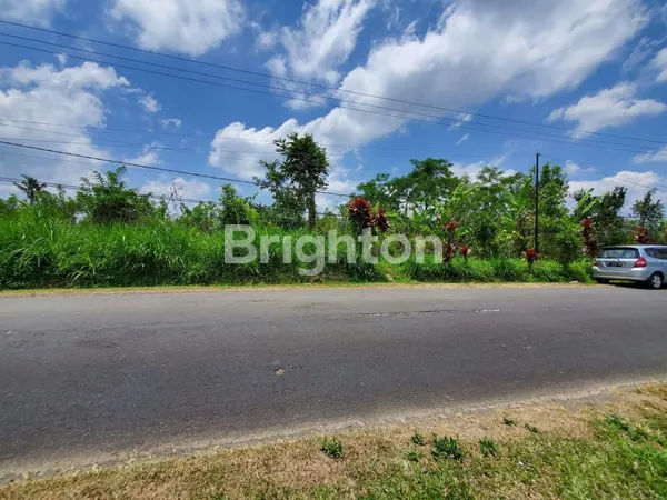 image TANAH DI PLAGA PETANG, DEKAT JEMBATAN BANGKUNG – LOKASI STRATEGIS & POTENSI INVESTASI MENJANJIKAN! (4)