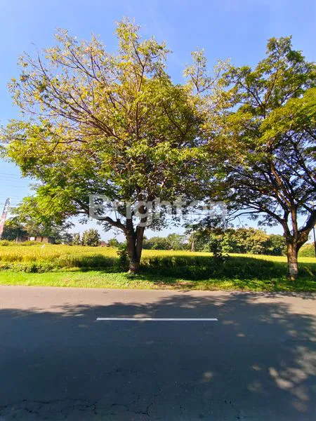 image TANAH LUAS JALAN LAWU TIMUR PASAR BEJEN KARANGANYAR (1)