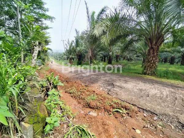 image DIJUAL TANAH BONUS POHON BUAH DAERAH JONGGOL,DS  MELATI HARGA MIRING  !! (2)