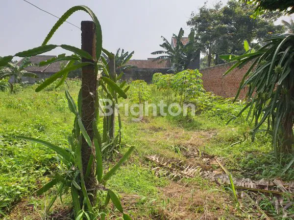 image KAVLING DI BAWAH HARGA PASAR SIAP UNTUK BANGUN RUMAH ATAU USAHA (6)