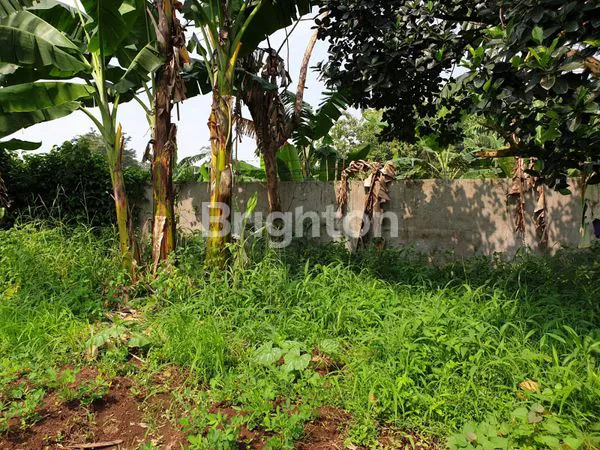 image KAVLING DI BAWAH HARGA PASAR SIAP UNTUK BANGUN RUMAH ATAU USAHA (8)