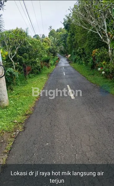 image TANAH DI BULELENG - SINGARAJA - BALI (2)