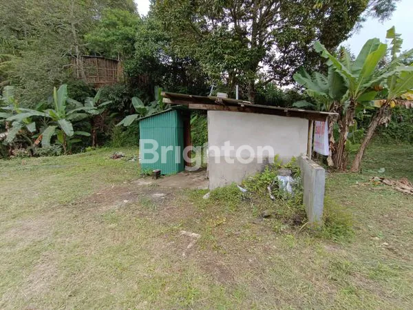 image TANAH DI BEDUGUL (3)