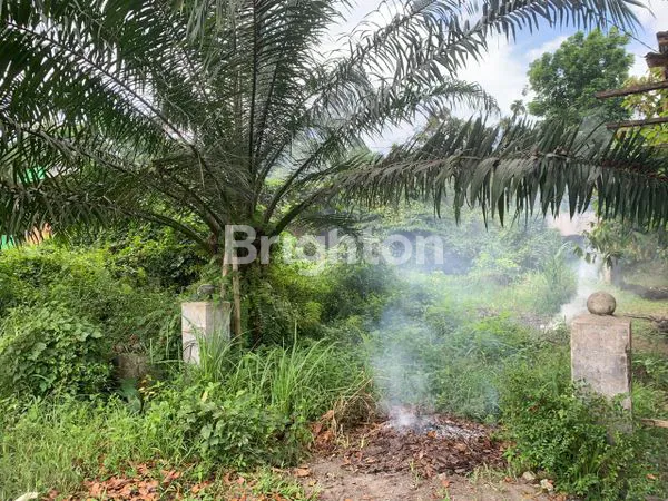 image TANAH 3343 BINJAI (7)