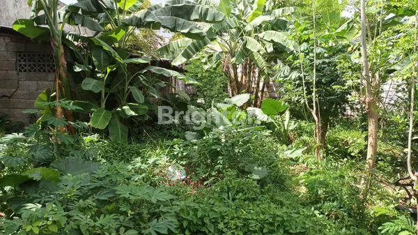 image DIJUAL RUMAH KLP  2 WETAN CIRACAS JAKTIM (8)