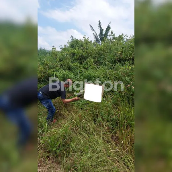 Gambar Property TANAH KARANGPLOSO