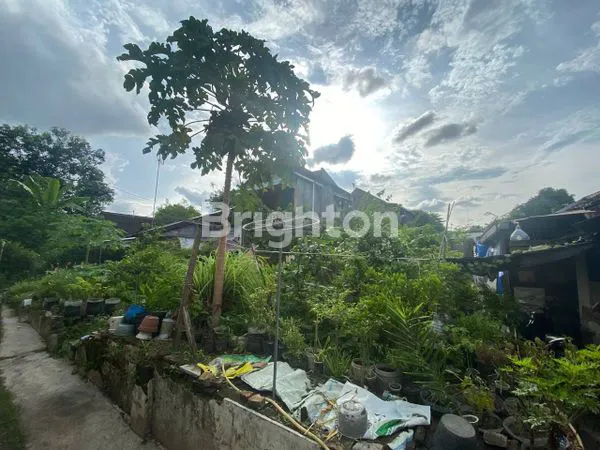 image TANAH MURAH HARGA DIBAWAH PASARAN, DI DAERAH RS DR OEN KANDANG SAPI (3)