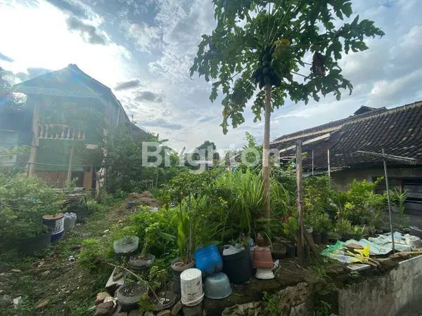 image TANAH MURAH HARGA DIBAWAH PASARAN, DI DAERAH RS DR OEN KANDANG SAPI (2)