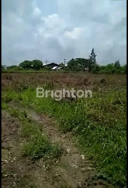image TANAH DI KEDAMEAN GRESIK (1)