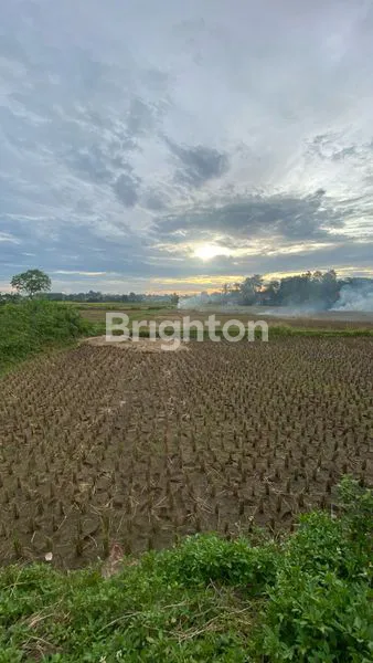 image KAVLING PADAT SAWAH LEGOK TANGERANG (2)