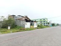 WhatsApp Image 2025 03 15 at 14.27.42