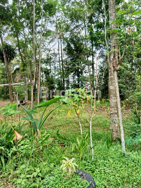 image 3 KAVLING TURUN HARGA DI KOTA SALATIGA (2)