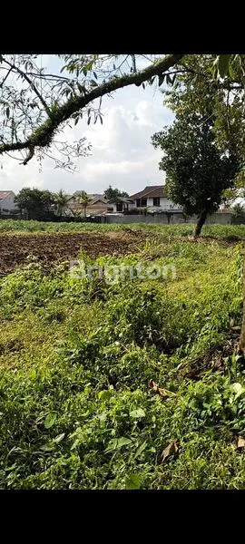 image TANAH SEMPLAK KOTA BOGOR (2)